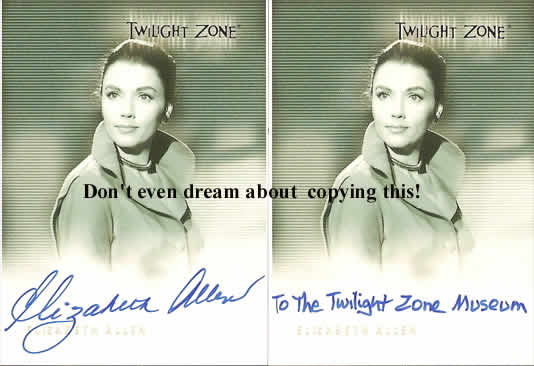 Elizabeth Allen signature